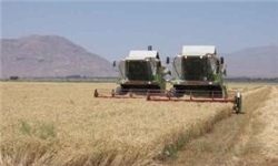 بهره‌گیری از ظرفیت‌های بخش کشاورزی برای رونق اقتصادی