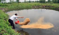 معرفی داروهای جدید به صنعت پرورش ماهیان گرمابی