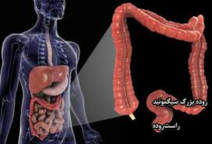 آغاز همايش ملي کولورکتال در شيراز