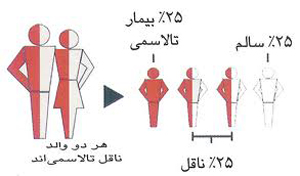 صفر شدن آمار تولد بیمار تالاسمی در فارس