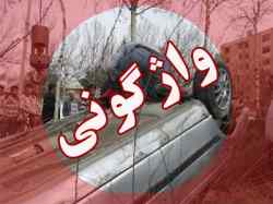 يک کشته در سانحه رانندگي محور شيراز - فسا