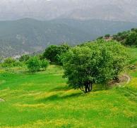 در نوروز کجای ایران را بگردیم؟