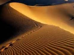بر روی شن های صحرا به سرعت حرکت می‌کنید