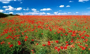 در نوروز کجای ایران را بگردیم؟