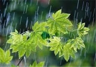 پیش‌بینی رگبار باران و رعد و برق در جنوب شرقی کشور طی 24 ساعت آینده