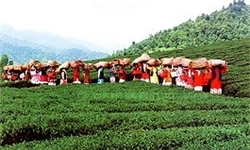 کزج روستای باشکوه و پنهان در دل کوه/غار جلال‌آباد از جاذبه‌های گردشگری خلخال