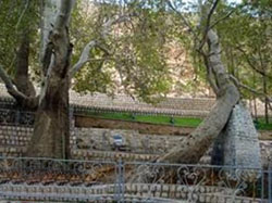 ورود 893 هزار مسافر و گردشگر نوروزی به شهرستان بروجن