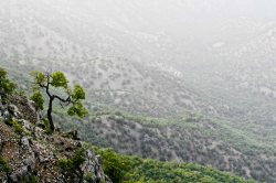 سفر به جاده كوهی ابریشم