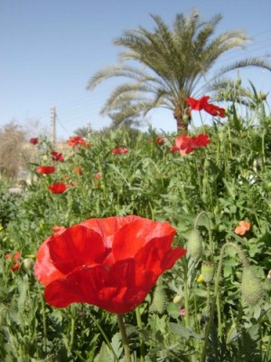 در نوروز کجای ایران را بگردیم؟