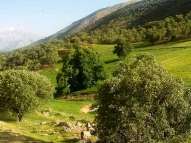 با اجرای طرح باغبانی