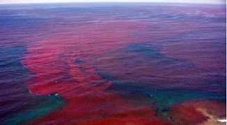 پدیده ای هولناک که در حال نزدیک شدن به خلیج فارس است