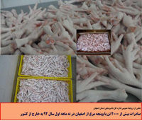 ارز آوری 5 میلیون دلاری با صادرات بیش از 2000 تن پا وپنجه مرغ از اصفهان
