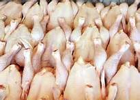 ذخیره 1000 تن مرغ ویژه شب عید در قم/ عدم ذخیره گوشت قرمز