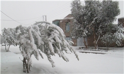 20 روستای شهرستان ریگان در محاصره برف / اعزام گروه های امدادی