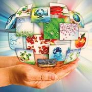 ترفندهایی برای راه اندازی کسب و کار اینترنتی