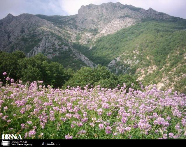 صدور 9 فقره موافقت اصولی برای توسعه گردشگری خراسان شمالی