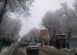 جلوه زیبای زمستان با درختان یخ بسته کریستالی در شهرکرد