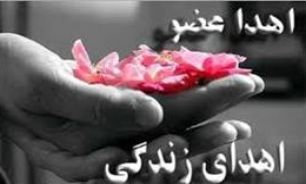 اهدا عضو به چهار بيمار زندگي دوباره بخشيد