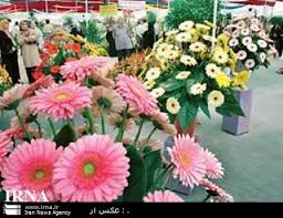 تولید بیش از 66 هزار شاخه گل زینتی در خراسان جنوبی