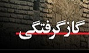 مرگ 287 نفر با گاز گرفتگی در هشت ماهه امسال
