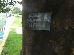 پلاک کوبی دو هزار اصله درخت در مازندران