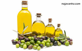 افزایش 10 درصدی تولید روغن زیتون درخراسان جنوبی