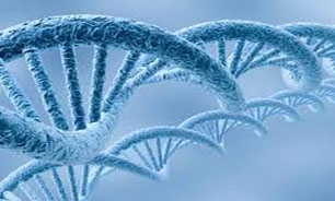 گام موثر در درمان مبتنی بر "DNA" با استفاده از "نانوحفره"
