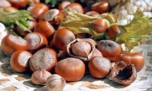 بیماران قلبی "فندق" بخورند