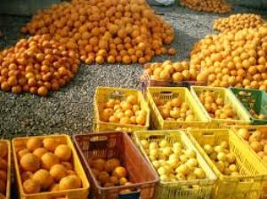 صادرات مرکبات از فسای فارس به حاشیه ی خلیج فارس