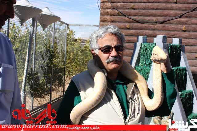 عکس یادگاری مجری صداوسیما با مار!