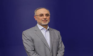 عکس/ رئیس سازمان انرژی اتمی در اتاق آبی