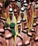 احتمال کاهش متحدان عرب آمریکا وجود دارد