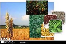 افتتاح 13 طرح کشاورزی در ساری