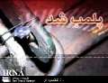 پلمپ 10 واحد فروش غیرمجاز مرغ در دره شهر