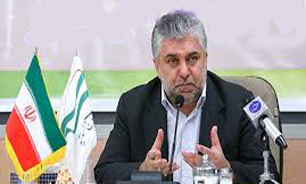 باید در جهت بومی‌کردن فرهنگ کشورمان اقدام کنیم