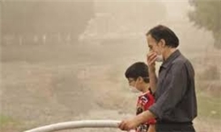 تغییرات ژنی پس از ۶ ماه تحمل آلودگی‌هوا/ آلودگی هوا دستور خودکشی سلولی می‌دهد