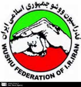 وجود 55 هزار ووشوکار در کشور