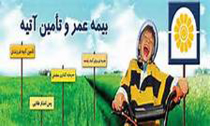 انواع "بیمه عمر" و مزایای آن