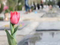 نصب هفت سين بزرگ دفاع مقدس وقرآن درقطعات شهدا