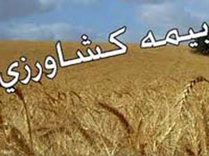 تخفیف ۱۰ درصدی حق بیمه کشاورزان تا پایان بهمن