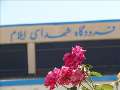 لغو شدن پروازهای فرودگاه ایلام به علت بارش سنگین برف