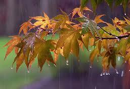 "افزایش محسوس دما" برای نیمه شمالی کشور/بارش "باران" در "تهران"