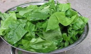 روغن کاهو در رفع بی خوابی معجزه می‌کند
