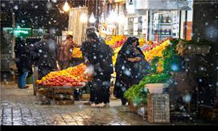 بیش از 5000 تن "میوه" برای مصرف شب عید ذخیره سازی می شود