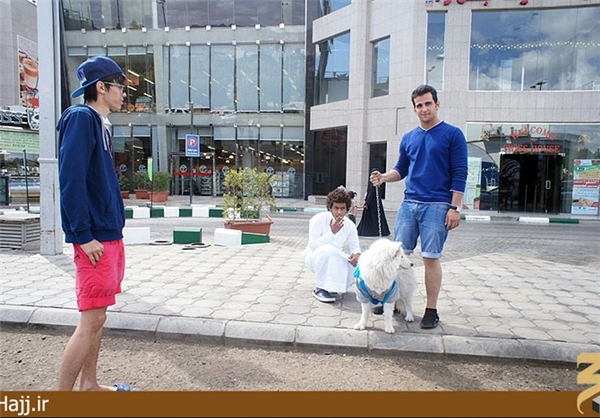 آیا باورتان می‌شود اینجا مدینه است؟+تصویر