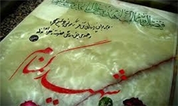 واگذاری 5 هزار مترمربع زمین برای گلزار شهدای گمنام