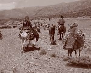 عشایر 25 درصد پروتئین مورد نیاز کشور را تولید می‌کنند