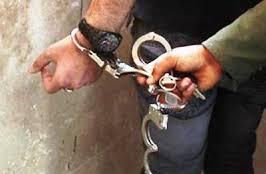 انهدام چهار باند سرقت طی یک ماه گذشته در استان چهارمحال و بختیاری