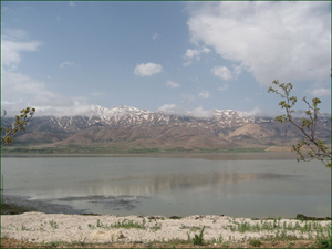 نابودی تالاب ها حاشیه نشینان را تهدید می کند
