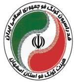 حکم رئیس فدراسیون «هنرهای رزمی و کونگ فو» صادر شد